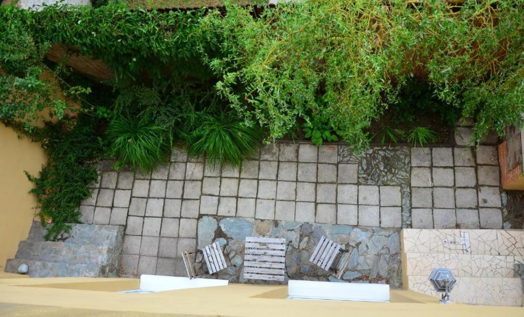 Apartment Elizabeth 科希策 外观 照片
